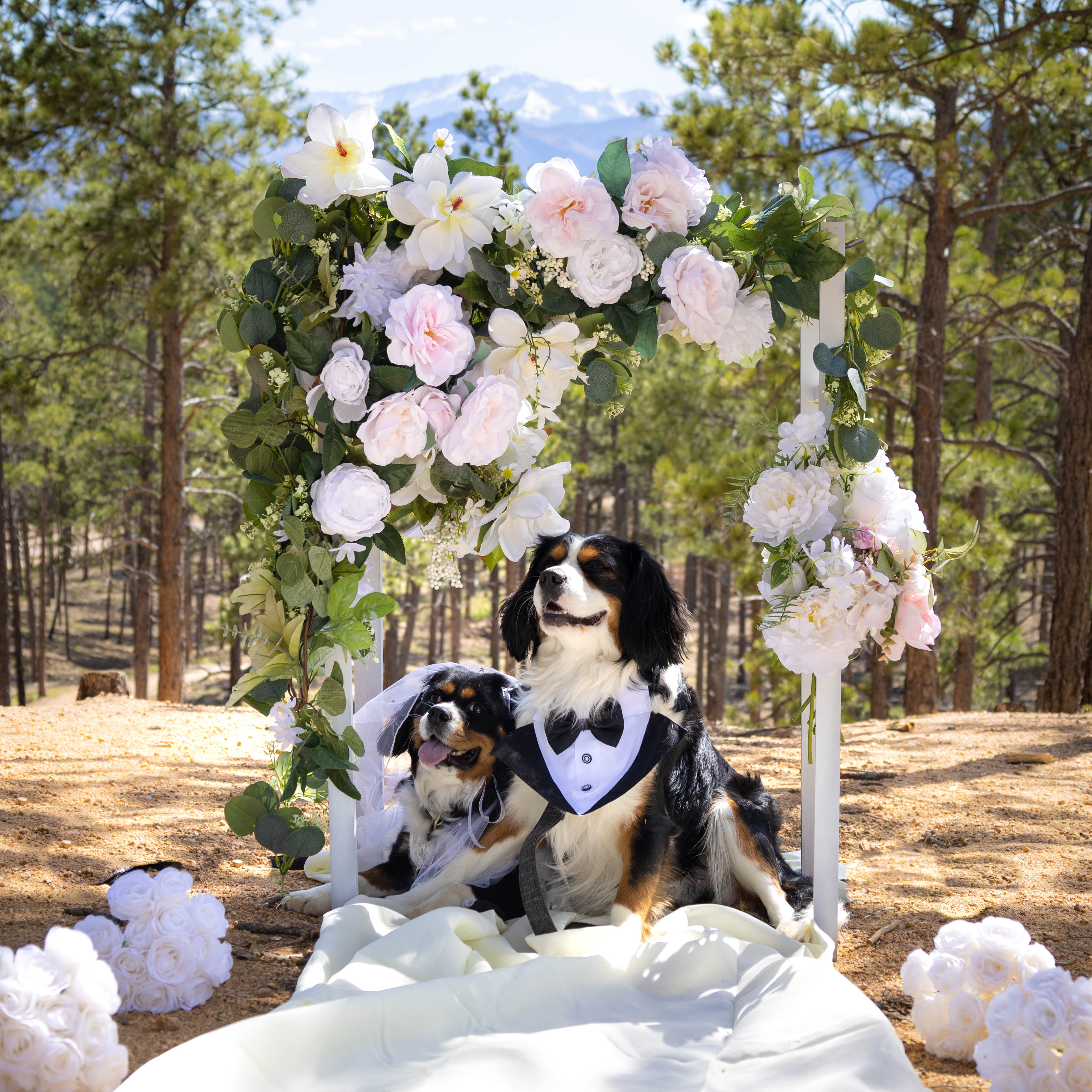 aria-ashers-wedding-1